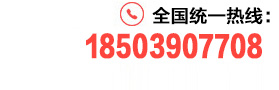 0391-6688313